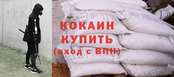 дживик Пересвет