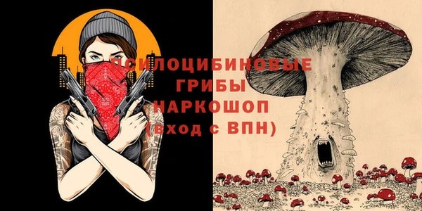 мдма Переславль-Залесский