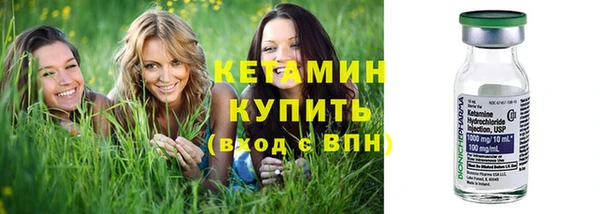 дживик Пересвет